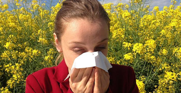 Alerjiler yaş aldıkça kötüleşiyor olabilir! Sebebi bağışıklık sisteminde saklı