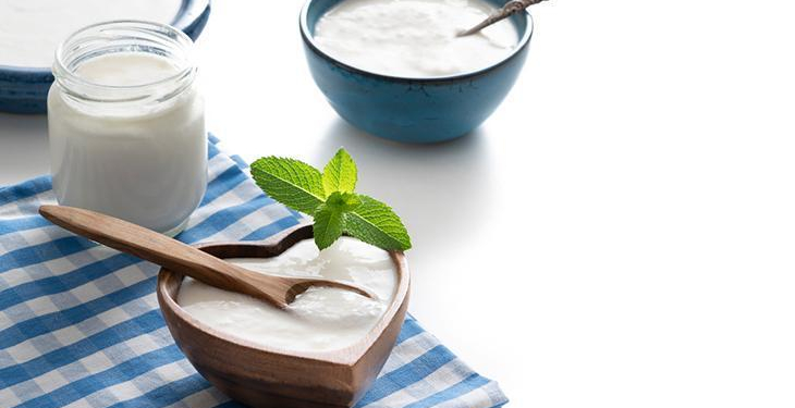 Bağırsakların görünmez kalkanı! Kefir mi yoğurt mu daha güçlü?