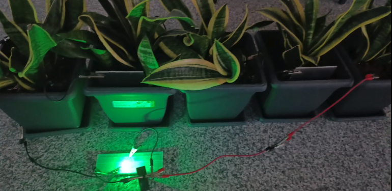 Her şey çocuğun sorusuyla başladı. Bitkilerden üretildi, bir odaya yetiyor