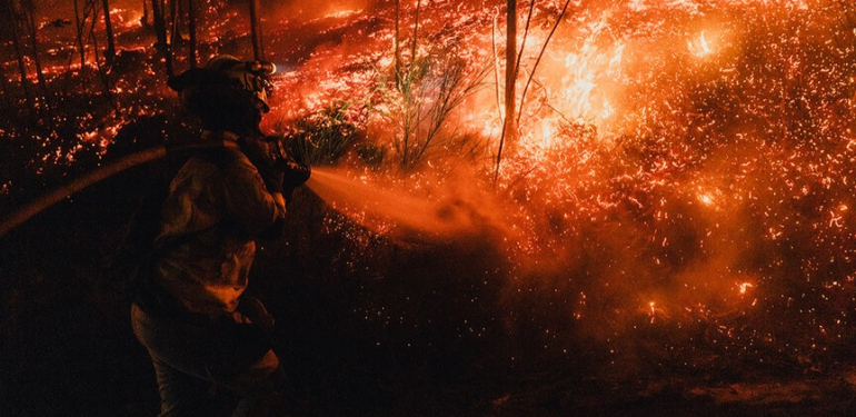 Japonya’da ormanlar yanıyor