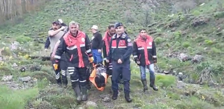 Sivas’ta mantar toplarken ayı saldırısında yaralandı