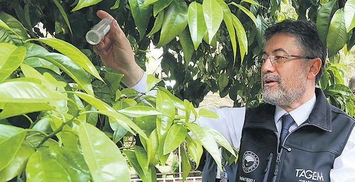 Bakan Yumaklı: 17 farklı türde 39 yeni bitki çeşidi tescil edildi! Tohumda bağımsız Türkiye